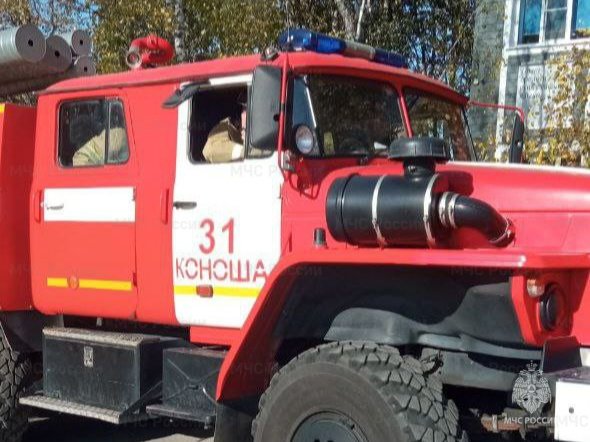 Пожарно-спасательные подразделения выезжали на пожар в Коношском МР